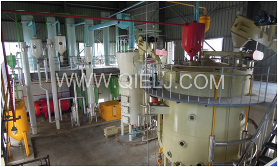 茶籽油設(shè)備 山茶油、山茶籽油國家大力提倡推廣的木本油脂(圖6)