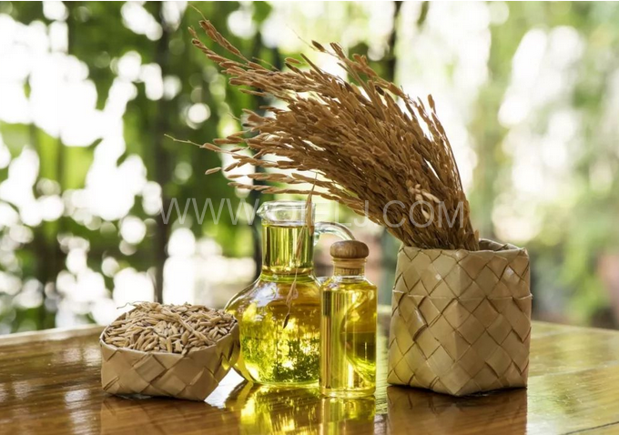 米糠油精煉設(shè)備，企鵝機(jī)械不斷創(chuàng)新提升工藝效果(圖1)