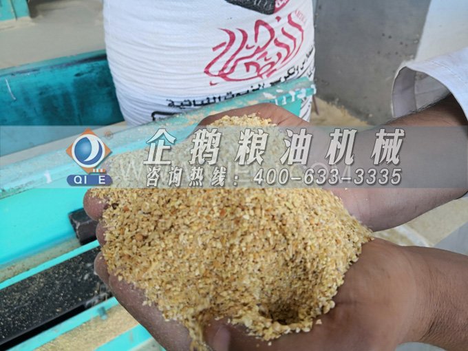 米糠油精煉設(shè)備，企鵝機(jī)械不斷創(chuàng)新提升工藝效果(圖2)